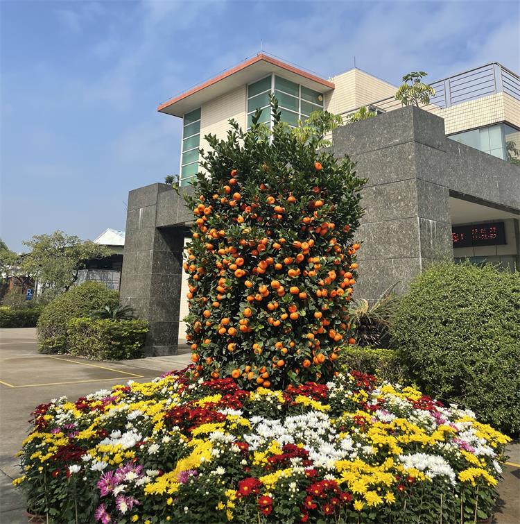 廣東順德金康業塑料有限公司 廣東順德金康業塑料有限公司